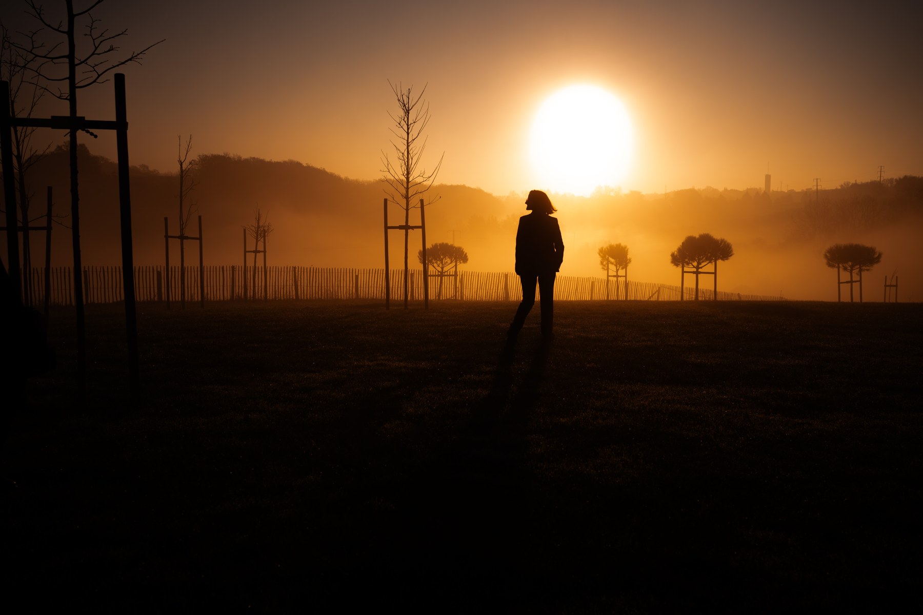 Une silhouette dans l'herbe, entourée d'arbres et d'une lumière dorée au Domaine Baulieu.